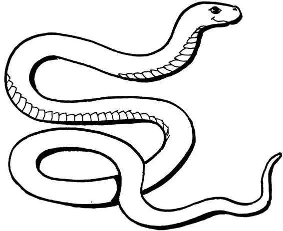 free-snake-colouring-pages-for-kids-to-download
