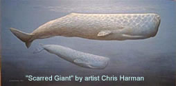 sperm-whale