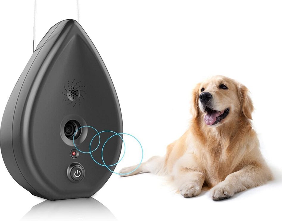 best ultrasonic dog silencer
