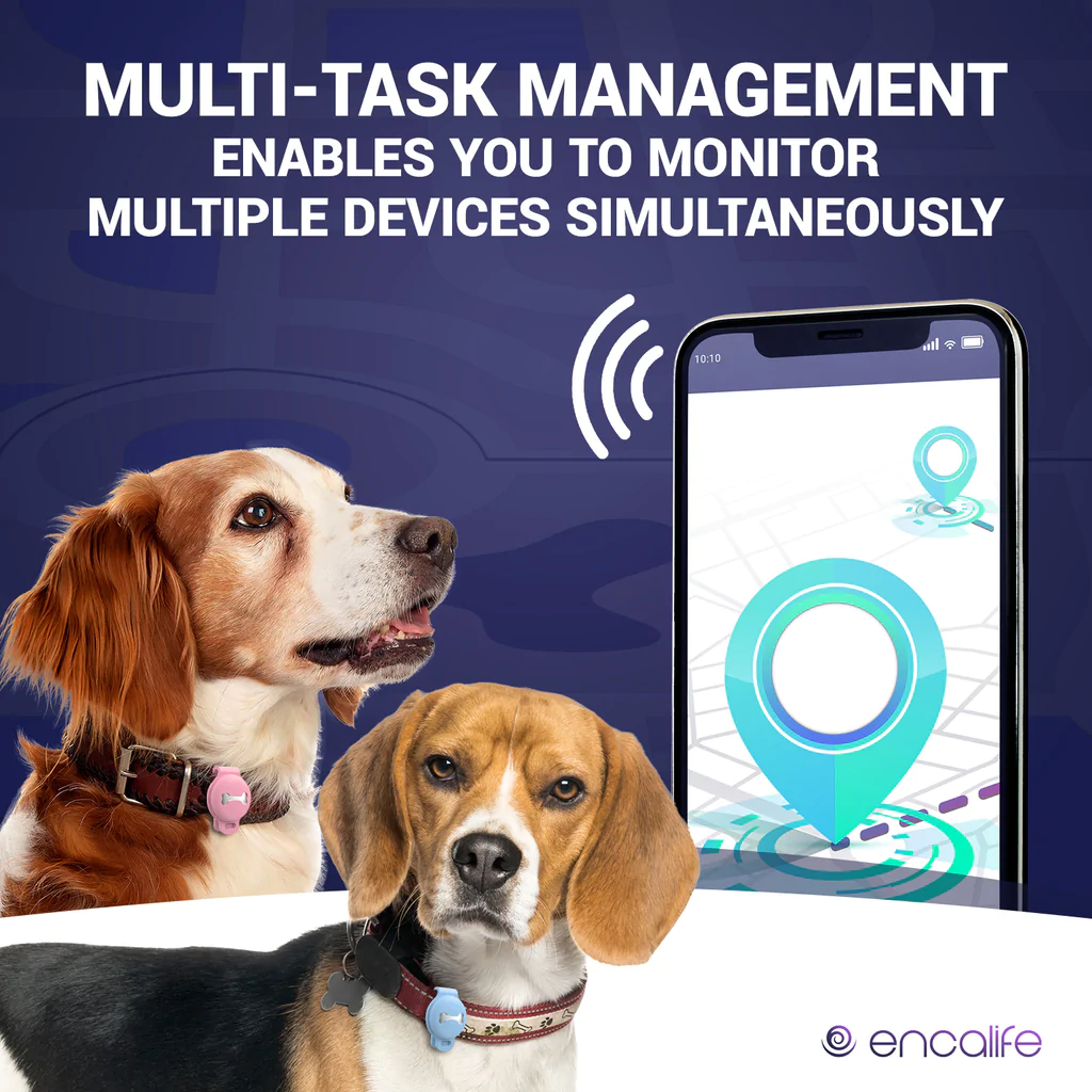 dog-tracker-no-monthly-fees-2