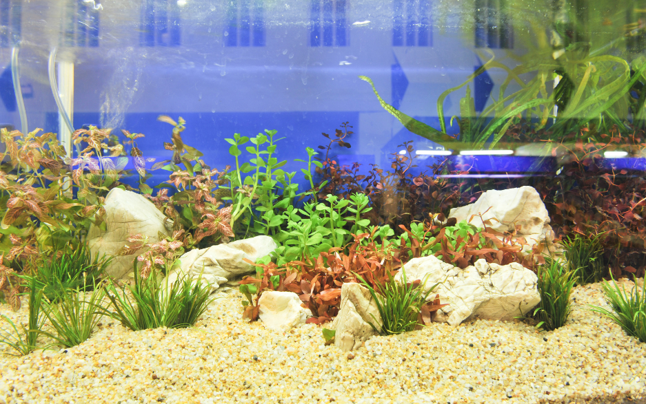 4-6 mm 2kg Bag, Purple Natural Color Aquarium Fish Tank Gravel Substrate