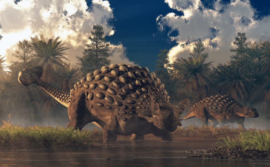 ankylosaurus 2