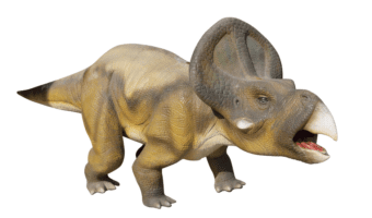 protoceratops-2