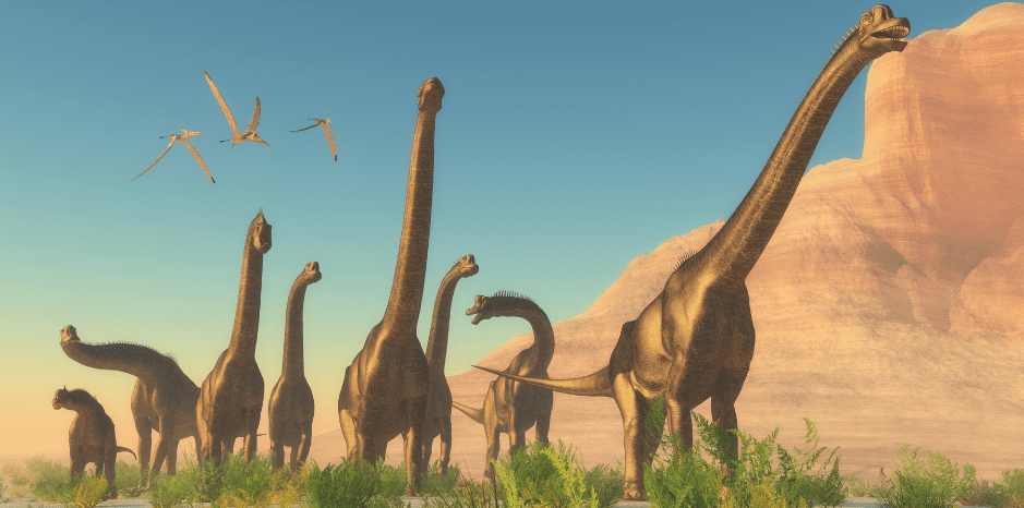 some-brachiosaurs