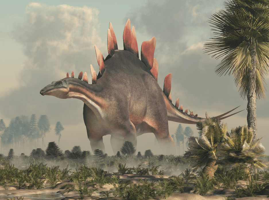 stegosaurus-2