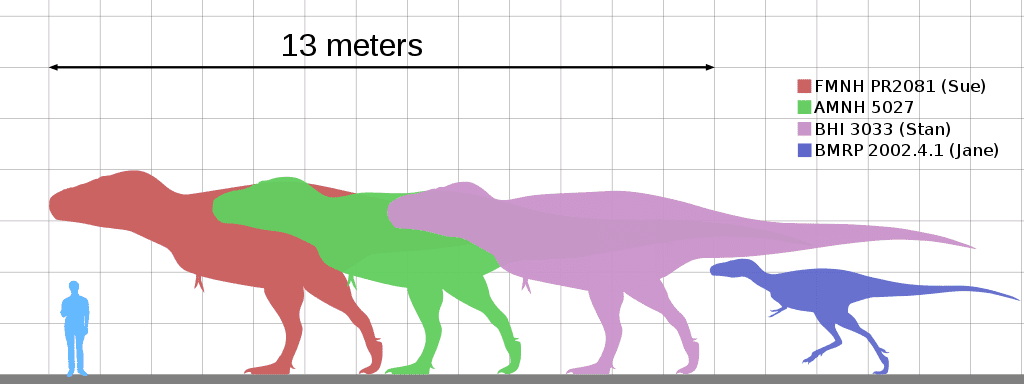 animal size comparison chart