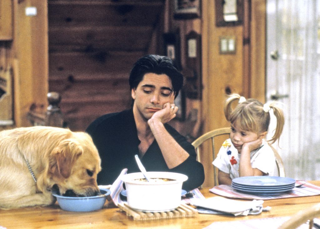 Full House Comet 1024x732 1 19 Famous Dogs From Movies and TV