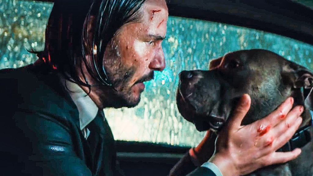 john wick dog 19 Famous Dogs From Movies and TV