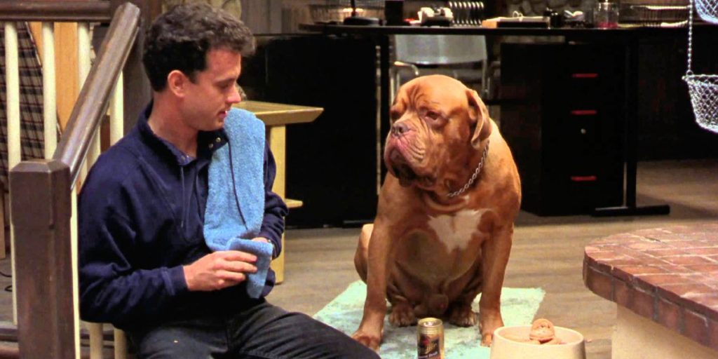turner hooch 19 Famous Dogs From Movies and TV