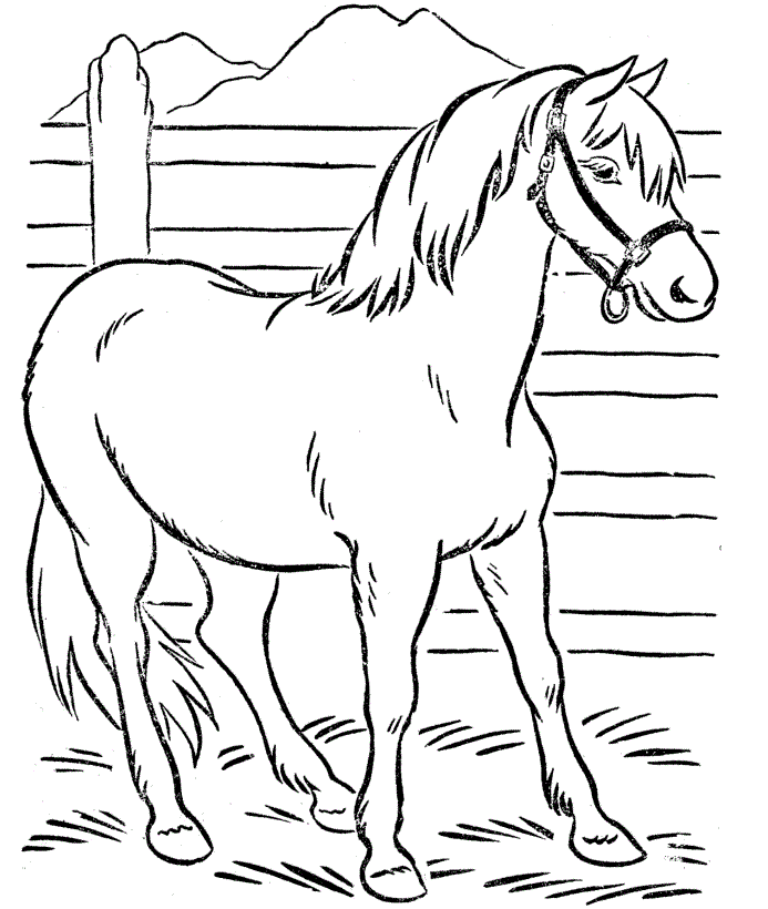 free-horse-coloring-pages-for-kids-3254753
