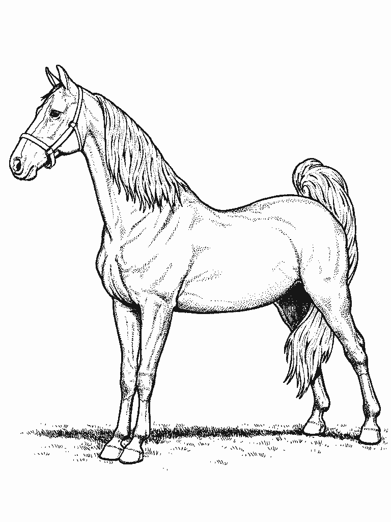 horse-coloring-page-1622920