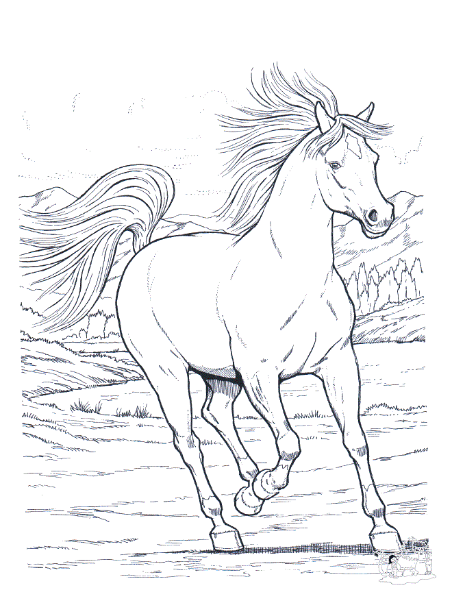 horse-coloring-pages-for-kids-1685849