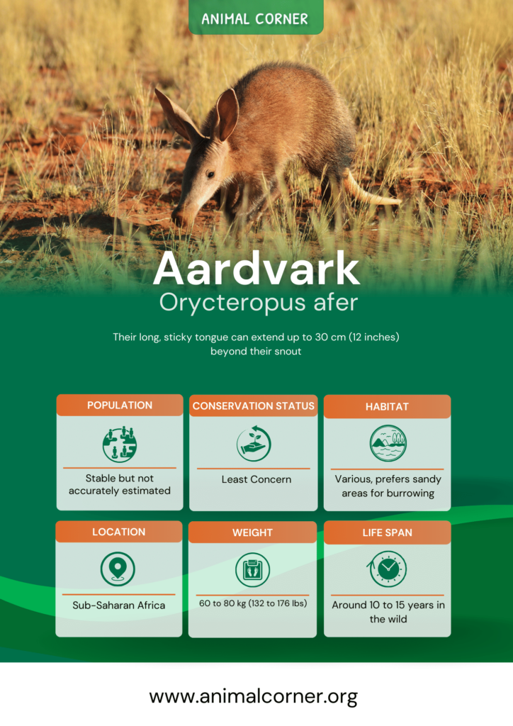 aardvark-fact-sheet