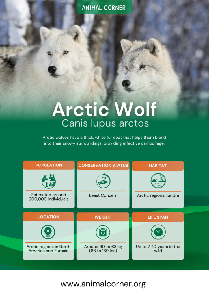 arctic-wolf-fact-sheet