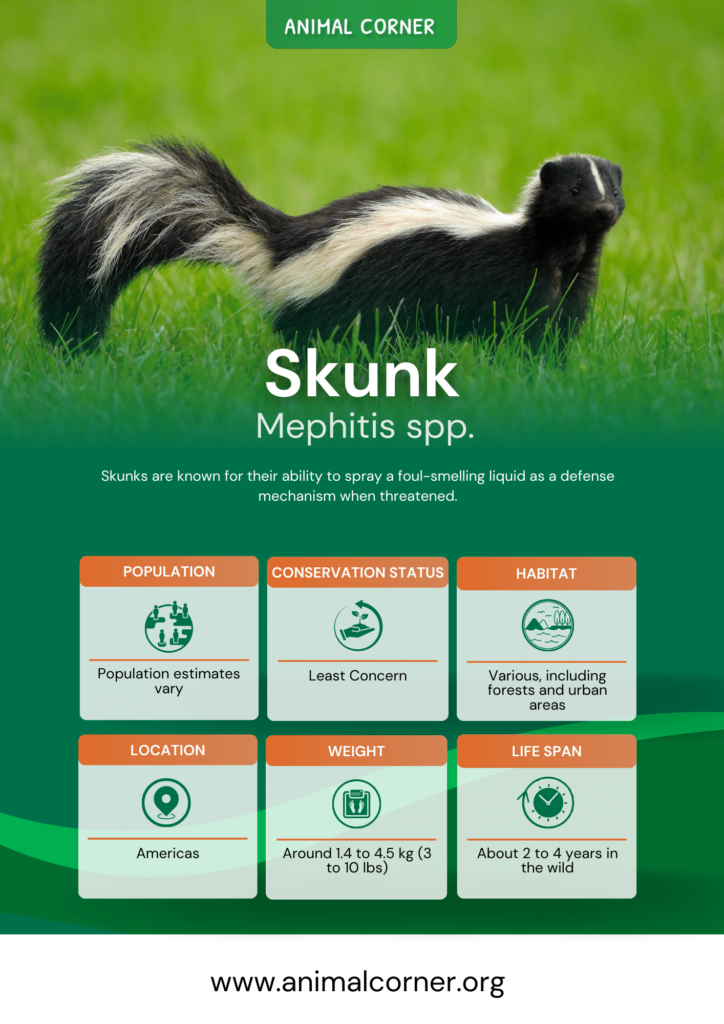 skunk-fact-sheet