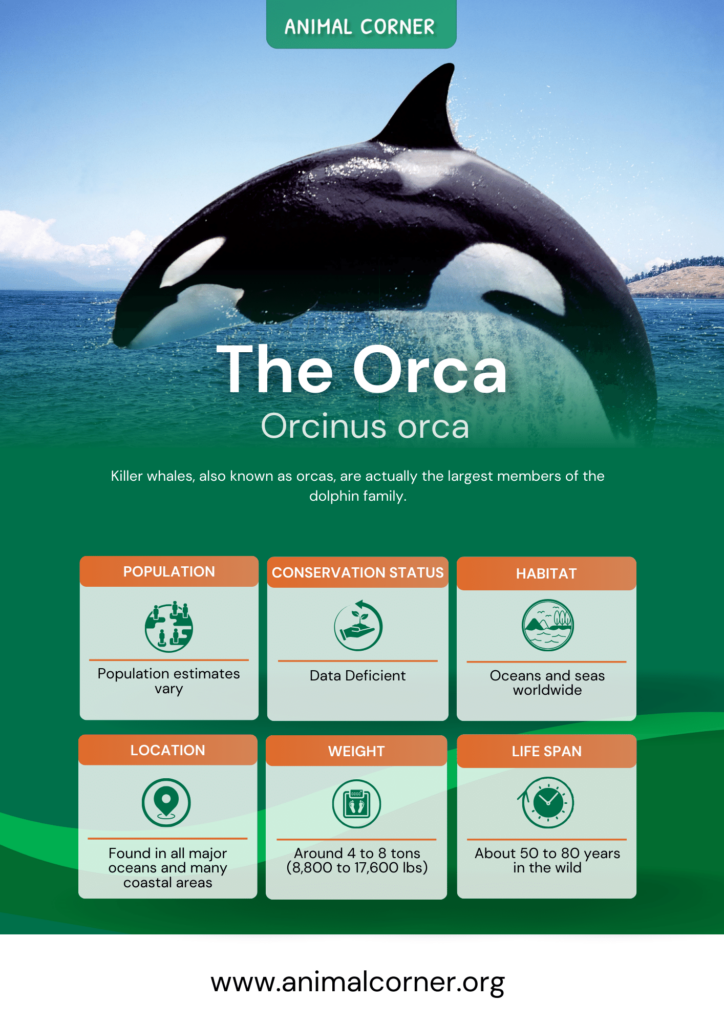 the-orca-fact-sheet