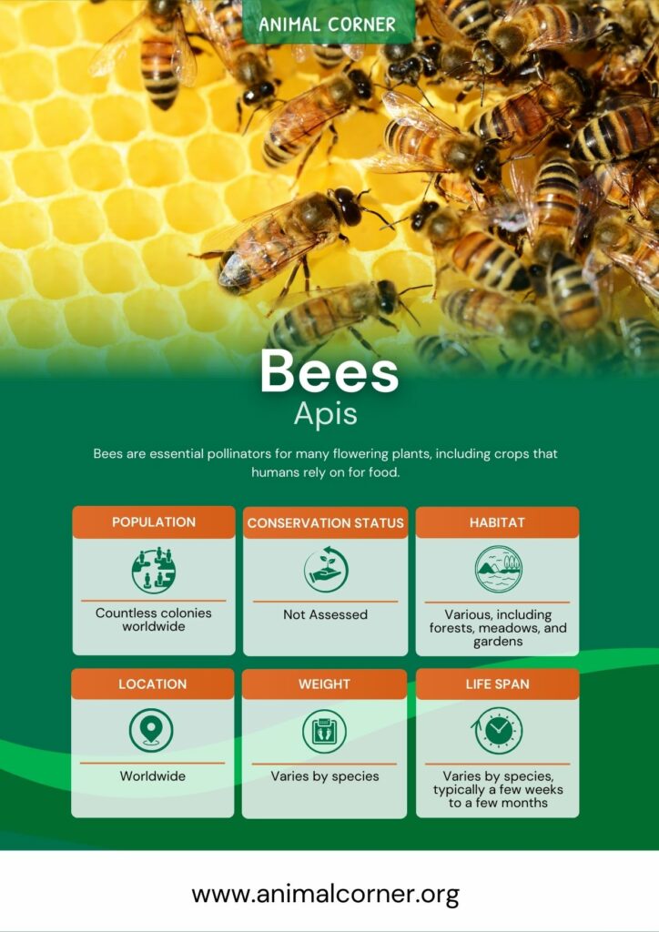 bees-2