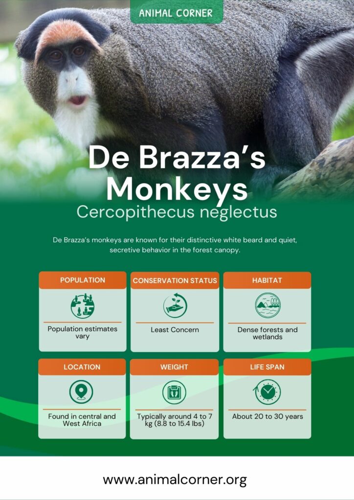 de-brazzas-monkeys-2