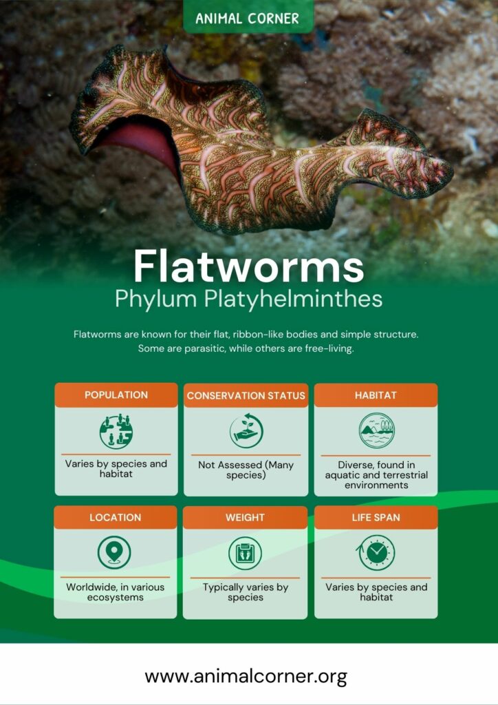 flatworms-2