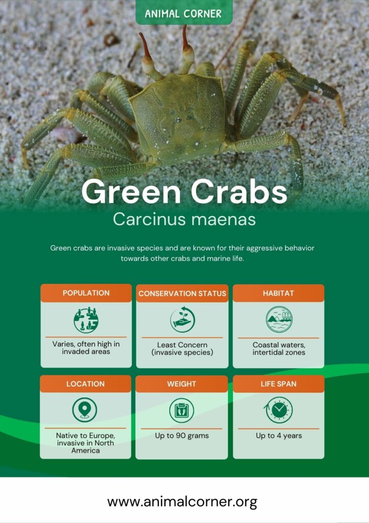 green-crabs-2