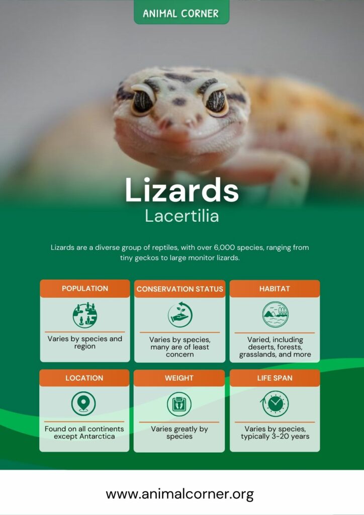lizards-2