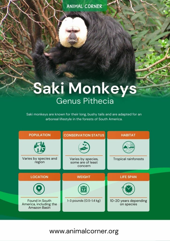saki-monkeys-2