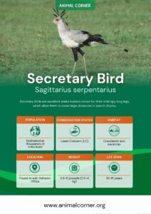 Secretary Bird 2632777 212x300 