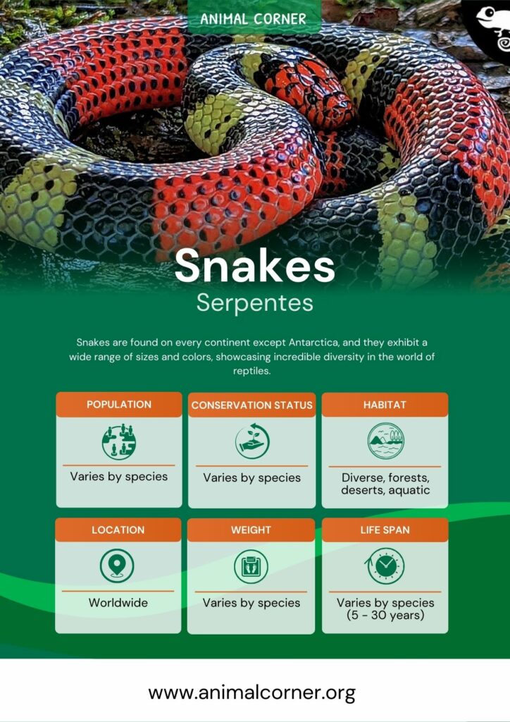 snakes-3