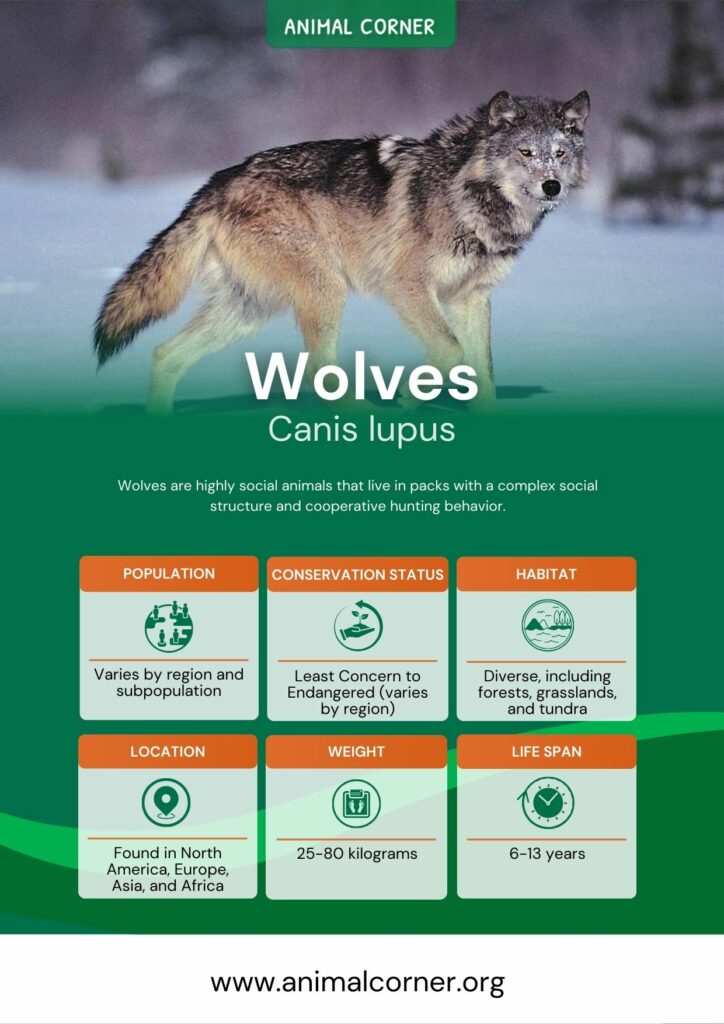wolves-3